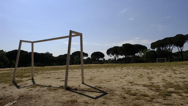 campo-futbol-casa-campo-kAS-620x349@abc