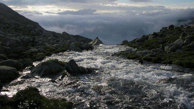 Hardangervidda