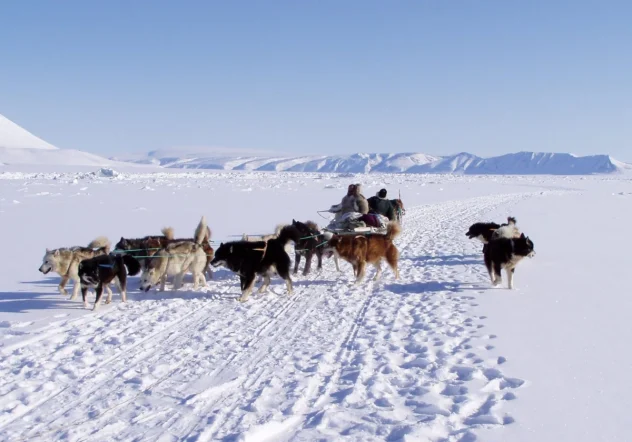 Un cazador inughuit (grupo inuit) del norte de Groenlandia en trineo de perros sobre el mar helado ABC